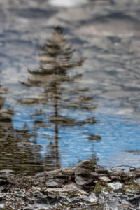 Baum, Wasser, Wolken, Spiegelung Baum, Wasser, Wolken, Spiegelung